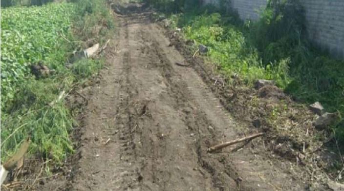 शेतीसाठी नसेल रस्ता तर अशा पद्धतीने करा तहसीलदारांना लेखी स्वरूपात अर्ज; मिळेल हक्काचा रस्ता